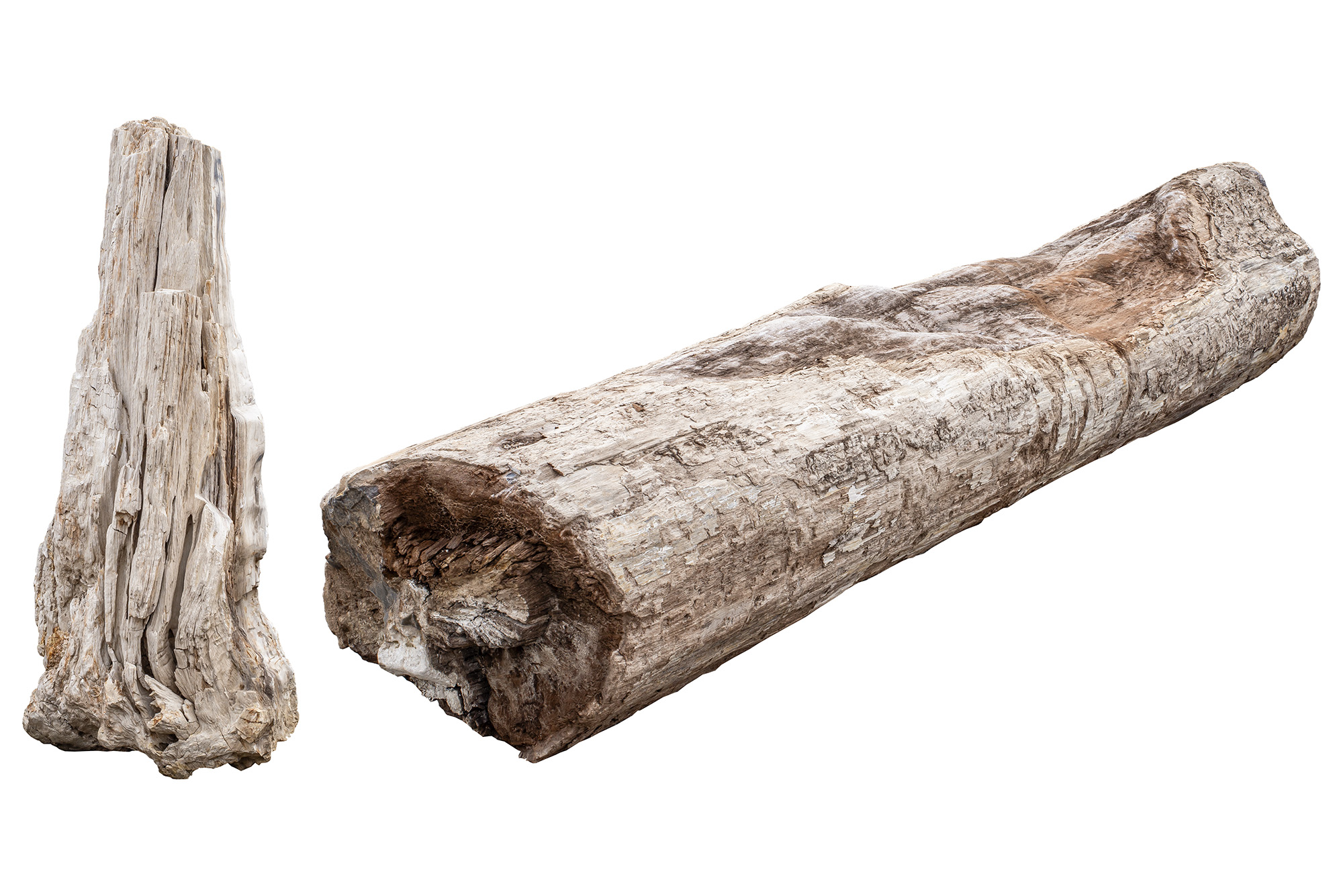 木化石　景石 | 造園資材館