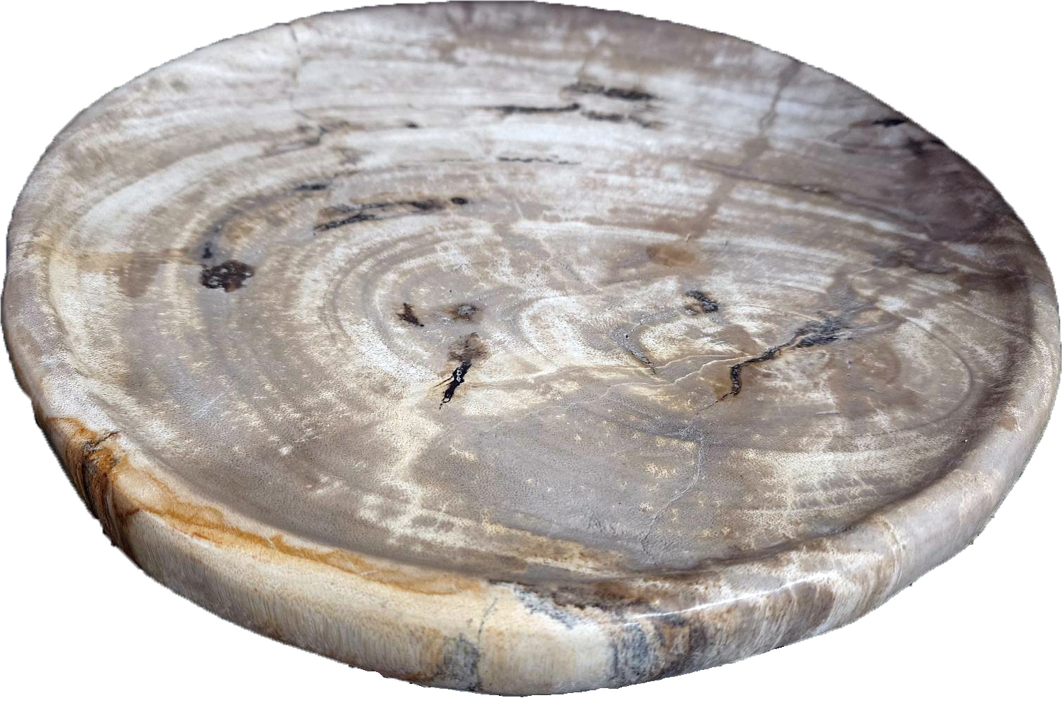 木化石　刻（とき）プレート | 造園資材館