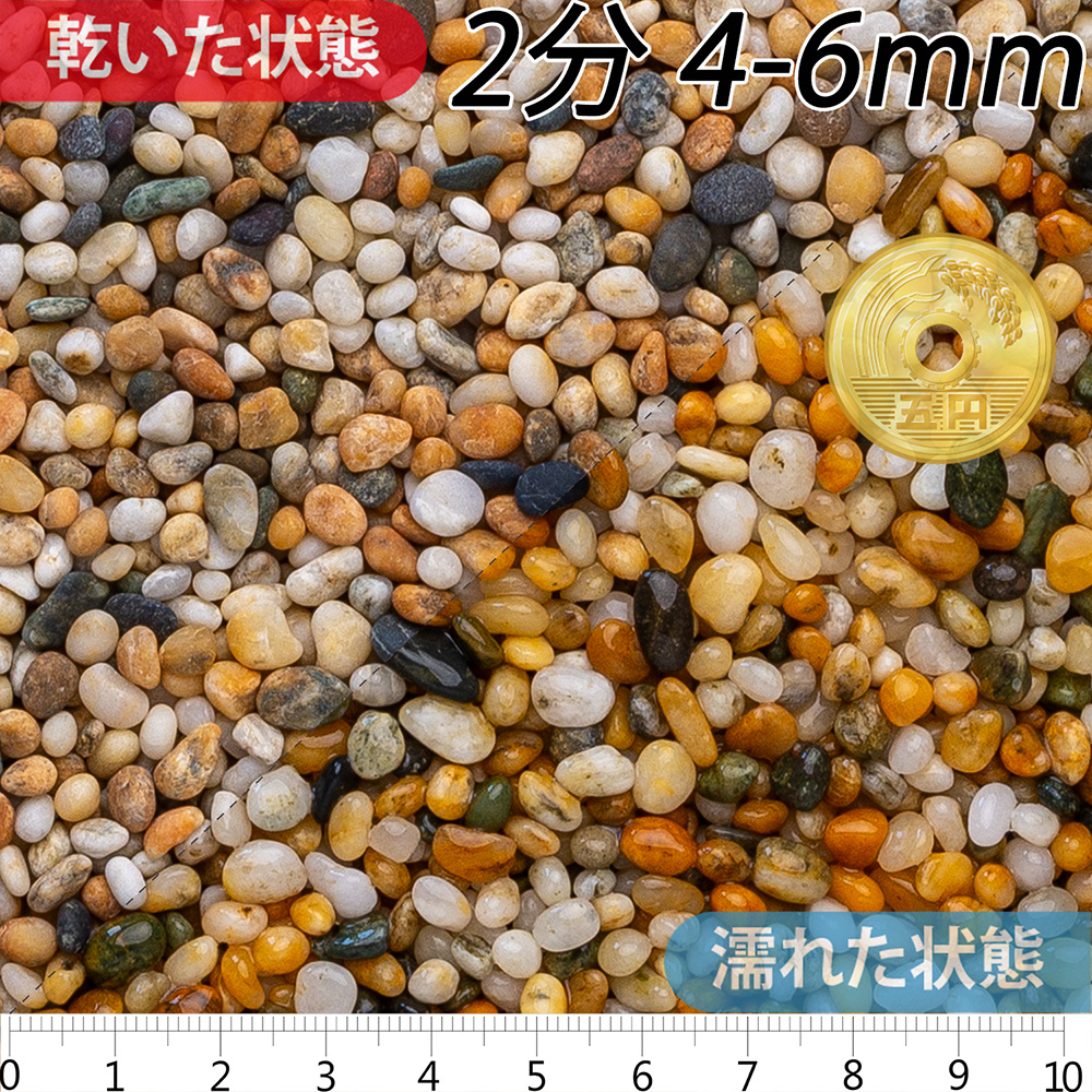 フリージア ドライ | 造園資材館