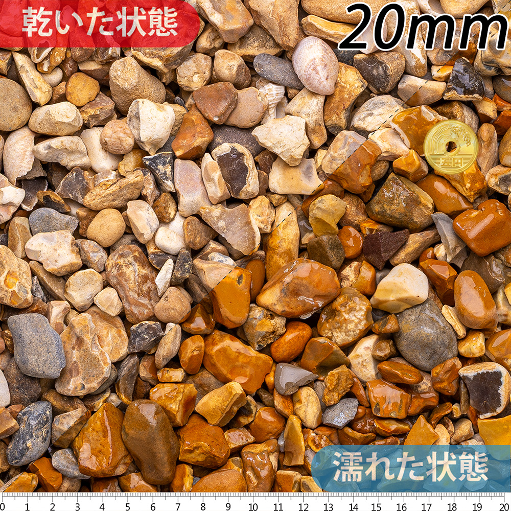 ゴールデン | 造園資材館