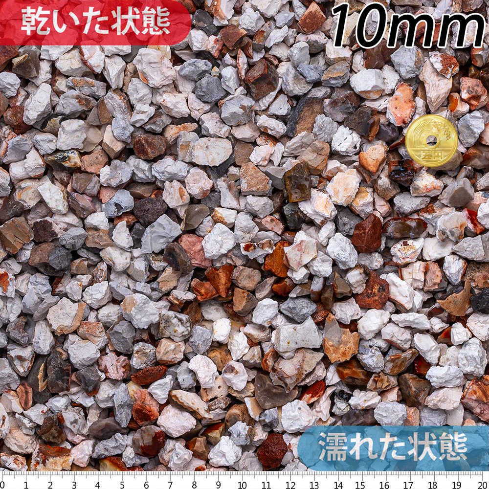 カンタベリースパー | 造園資材館