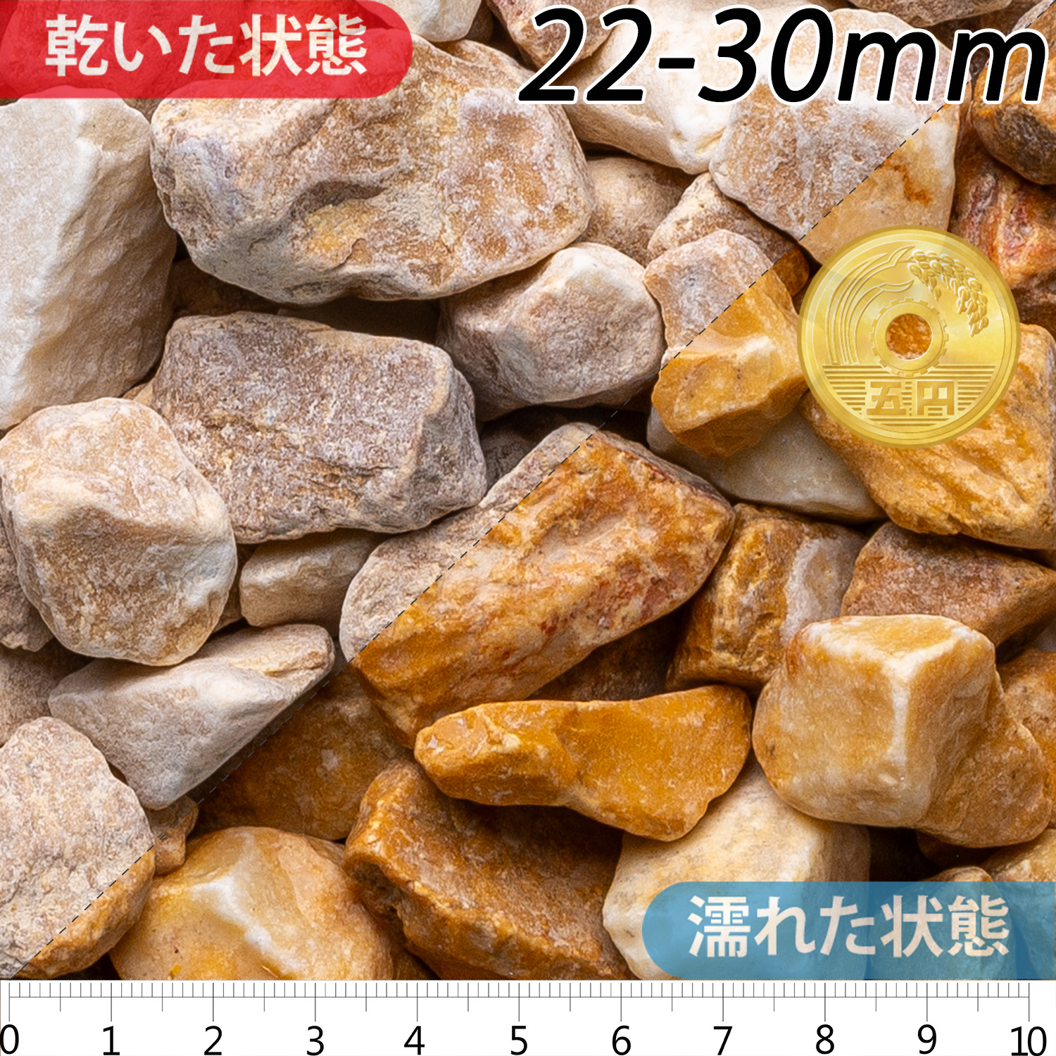 ジアーロシエーナ | 造園資材館