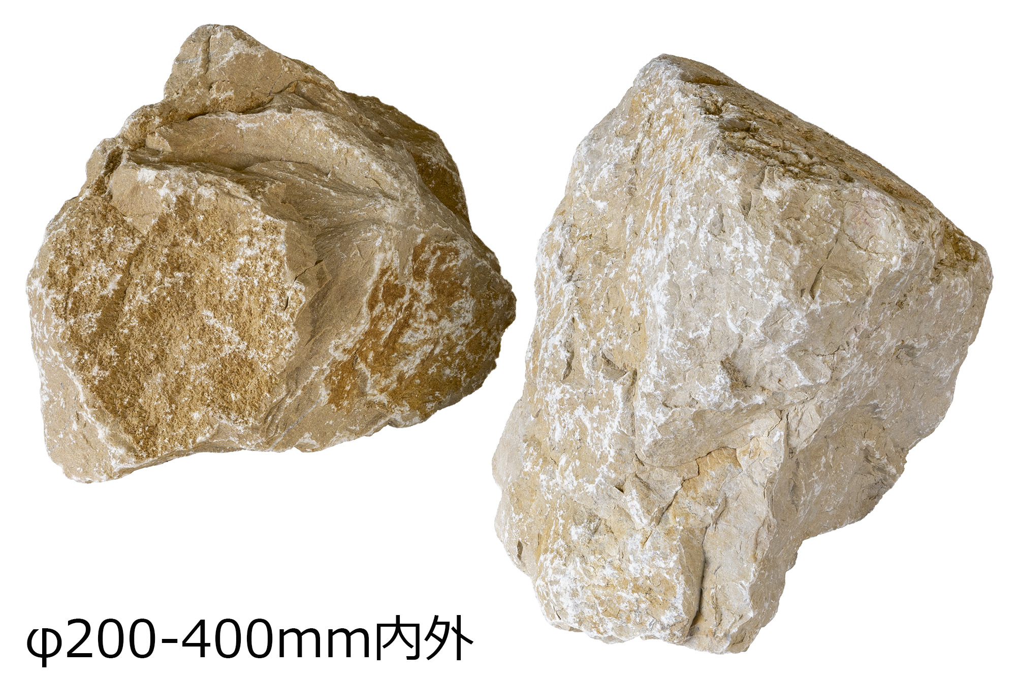 ジアーロモリ ロック | 造園資材館
