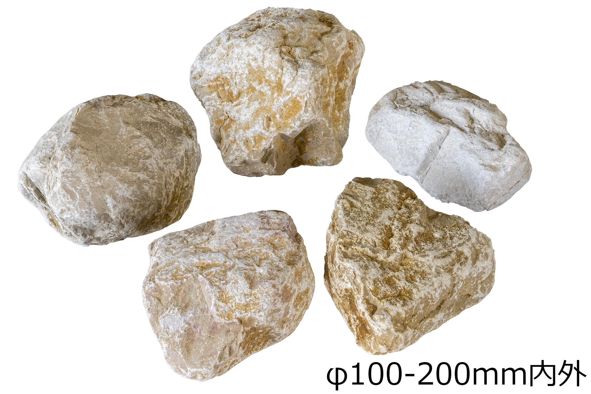 ジアーロモリ ロック | 造園資材館