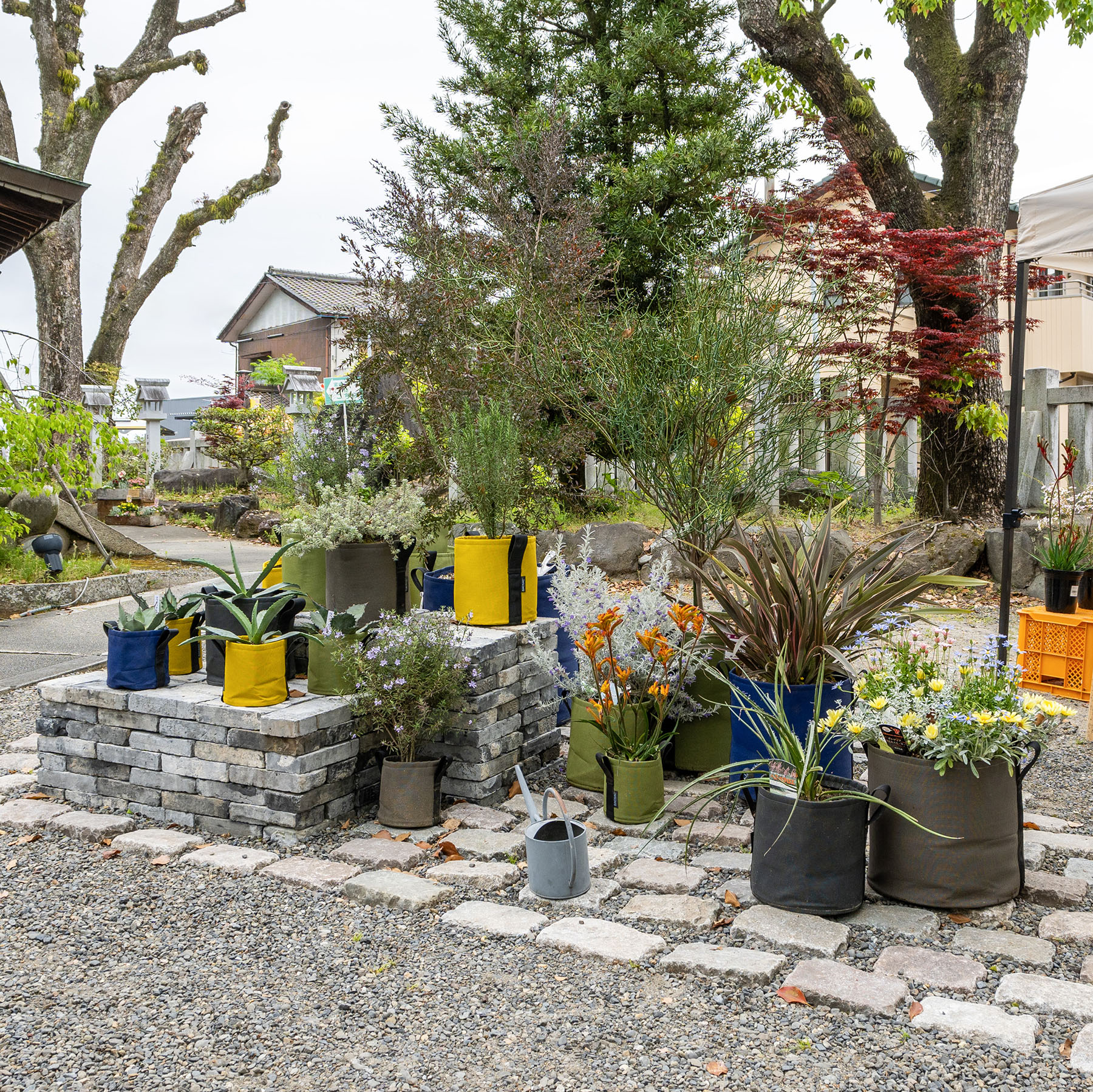 バックサック ポット TAUPE | 造園資材館