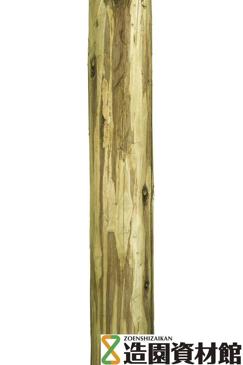 タナリスCY注入 自然肌丸太 | 造園資材館