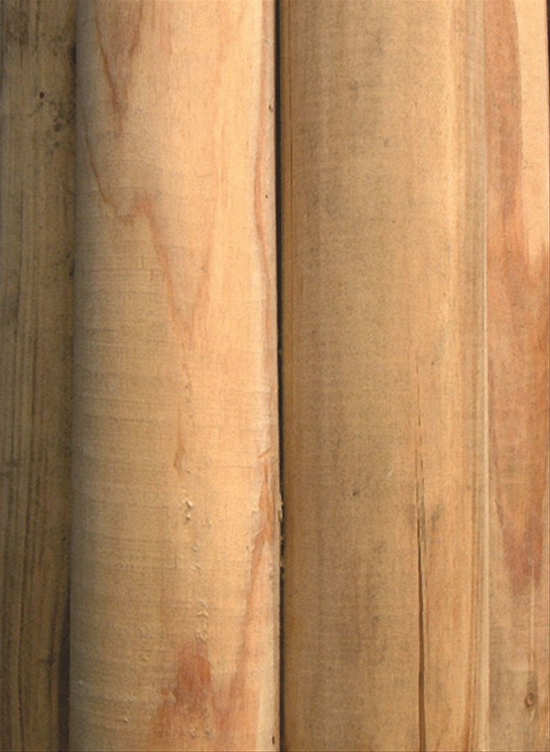 白木 ケズリ杭 (防腐処理無) | 造園資材館