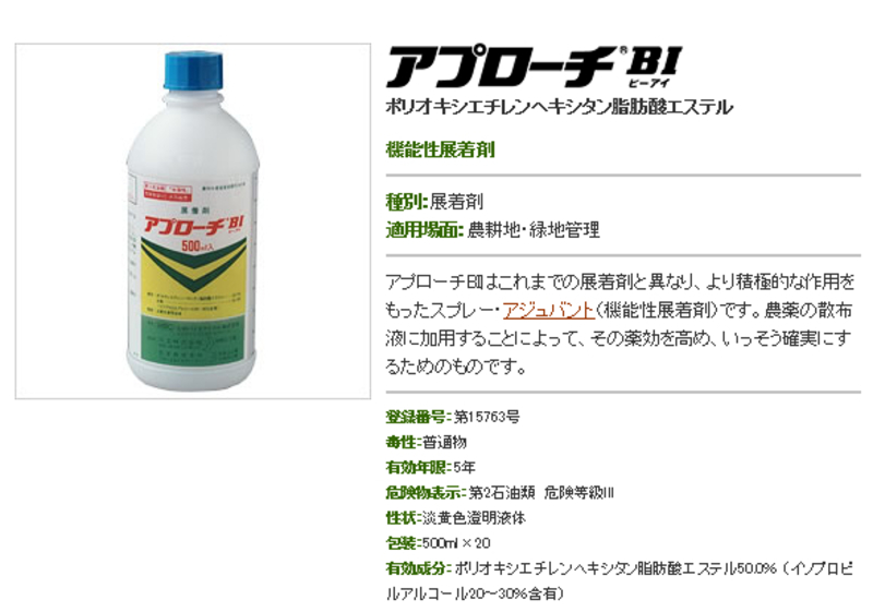 アプローチBI | 造園資材館