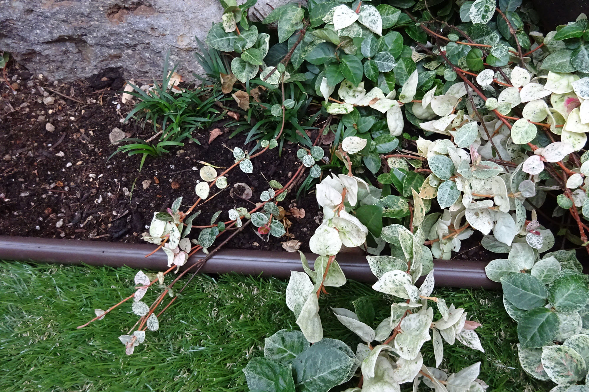 e-ゾイシア２ | 造園資材館